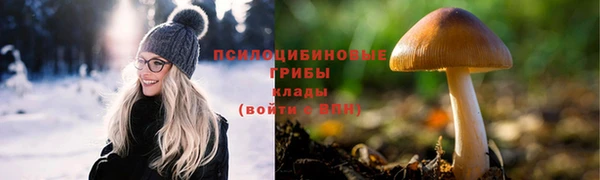 ешки Абинск