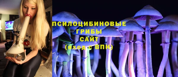 ECSTASY Абаза