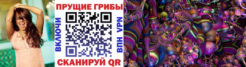 блэк спрут сайт  Зея  Галлюциногенные грибы Magic Shrooms 